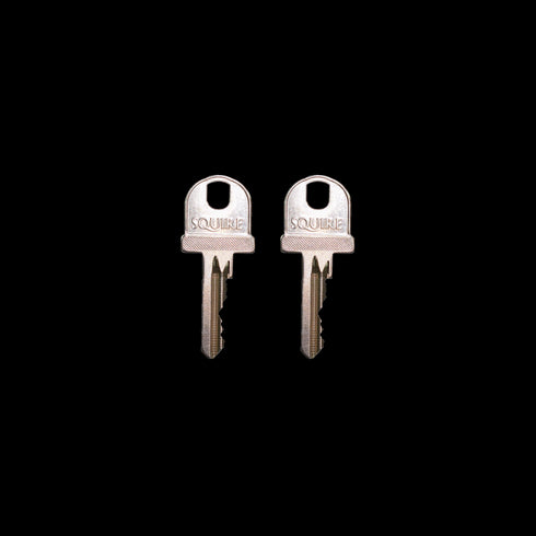 Squire Barricade Heavy Duty Brake Disc Lock